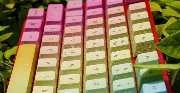 看：机械键盘入门手册J9数字平台菜鸟必(图7)